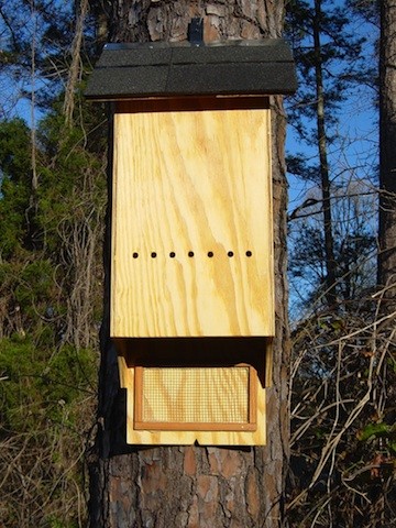 MEDIUM BAT HOUSE LIGHT