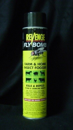 FLY BOMB