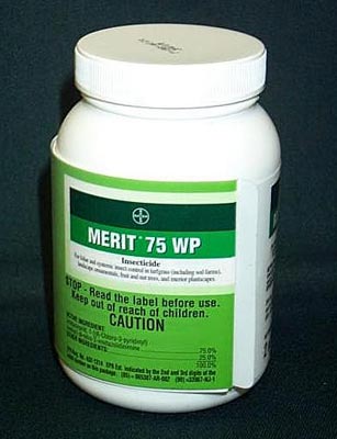 MERIT WP