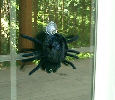 ATTACK SPIDER