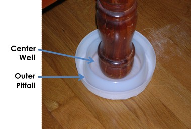 BEDBUG TRAP