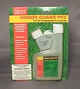 HONOR GUARD